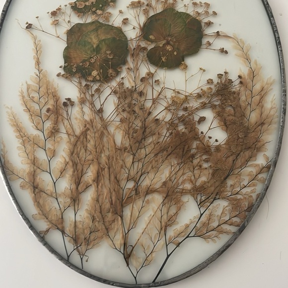 Wall Art dried butterflies and flowers Set of 2 - Picture 7 of 9